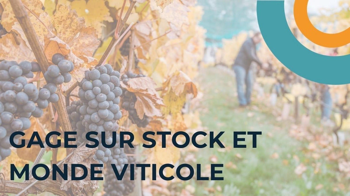 gage sur stock monde viticole